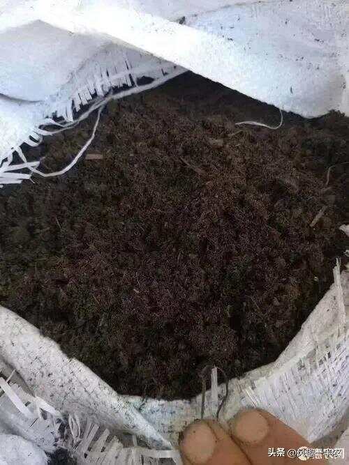 种植丝瓜、南瓜最忌怕哪些施肥方法？如何施肥才高产